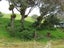 7 Ongutukura Way, Ōakura, Hikurangi - Carousel 8