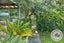 2 Walpole Avenue, Hillpark, Auckland - Carousel 18