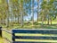 1805 Cust Road, Cust, Cust - Carousel 40