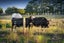 527 Browns Rock Road, Burnt Hill, Oxford - Carousel 5
