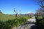 1758 Mountain Road, Inglewood, Inglewood - Carousel 18
