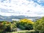 1643 Highcliff Road, Portobello, Dunedin - Carousel 11