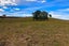 0 Falls Road, Waerenga, Te Kauwhata - Carousel 3
