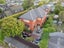87 Rutland Street, St Albans, Christchurch - Carousel 28