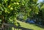 222 Great South Road, Huntly, Huntly - Carousel 22