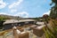 51 Fay Lane, Queensberry, Cromwell - Carousel 21