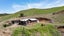 98 Pekanui Road, Puketotara, Te Awamutu - Carousel 17