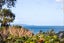 83A William Bayes Place, Red Beach, Red Beach - Carousel 2