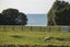 858 Wainui Road, Wainui, Gisborne - Carousel 15