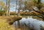 1429 River Road, Broadlands Forest, Taupo, Waikato - Carousel 20