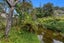 10 Bluett Road, Ohope, Ohope - Carousel 20