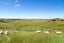 992c Glen Murray Rd, Churchill, Huntly, Waikato, Waikato - Carousel 5