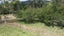 276 Brooklyn Valley Road, Brooklyn, Motueka - Carousel 29