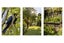 54 Resolution Road, Welcome Bay, Tauranga - Carousel 40