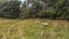 103 Neudorf Road, Upper Moutere - Carousel 28