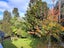 1/3 Antrim Grove, Bayview, Auckland - Carousel 4