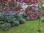 21 Signal Street, Marton - Carousel 30