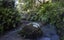 1238 Fern Flat Road, PERIA, KAEO - Carousel 5