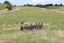 991 East Road, Toko, Stratford - Carousel 30