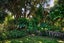 9 Nikau Street, Eastbourne, Lower Hutt - Carousel 21