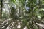 13 Okuti Valley Road, LITTLE RIVER, Little River - Carousel 23