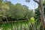 721 Maniatutu Road, Pongakawa, Te Puke - Carousel 27