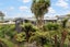 2/16 Norgrove Avenue, Mount Albert, Auckland - Carousel 22