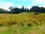153 Champion Road, Kaingaroa, Kaitaia - Carousel 20