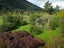 3352 Ahaura-Kopara Road, Totara Flat, Ahaura - Carousel 28