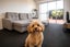 1E/1 Ophir Street, Newton, Auckland - Carousel 10