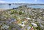 9 Bruce Street, Northcote Point, Auckland - Carousel 17