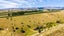 669 State Highway 63, Renwick, Blenheim - Carousel 12