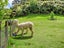 449 Poripori Road, Lower Kaimai, Tauranga - Carousel 42