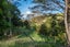 113 Puhata Road, Herekino, Kaitaia - Carousel 21