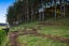 549 Mataro Road, Onaero, Urenui - Carousel 26