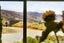 11 Macmillan Lane, Cromwell, Central Otago, Otago - Carousel 10