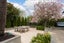 42 Heaton Street, Merivale, Christchurch - Carousel 16