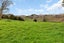 199 Avoca Road, Mamaranui, Dargaville - Carousel 32