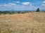 254B Pekanui Road, Puketotara, Pirongia - Carousel 7