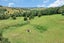 0 Otuhi Road, Wheki Valley, Whangarei - Carousel 14