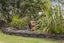 135 Haukore Street, Hairini, Tauranga - Carousel 31