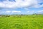 Lot 3 Bird Road, Pirongia, Waipa, Waikato - Carousel 12