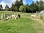 140 Three Mile Hill Road, North Taieri, Mosgiel - Carousel 19
