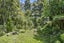 184 Atkinson Road, Titirangi, Auckland - Carousel 3