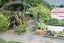 28 Ward Road, Cheviot, Cheviot - Carousel 33