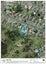 43 Cambridge Terrace, Kaiti, Gisborne - Carousel 15