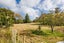 659 Kimbolton Road, Feilding, Feilding - Carousel 31
