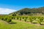 322 Waingake Road, Manutuke - Carousel 14