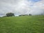 Lot 2, 675 Gorge Road, Maungaturoto, Kaipara, Northland - Carousel 2