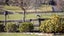29C Pheasant Close, Rotokauri, Hamilton - Carousel 21